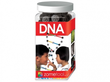 ZOME ADN