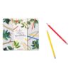 CAPSA AQUAREL·LES