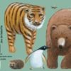 CARTES BATANIMO