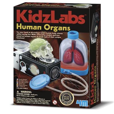 HUMAN ORGANS