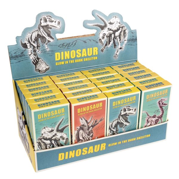 KIT ESQUELET DINO