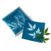 PAPER FOTOSENSIBLE