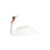 WUDIMALS: CIGNE