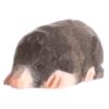 WUDIMALS: TALP