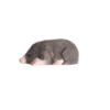 WUDIMALS: TALP