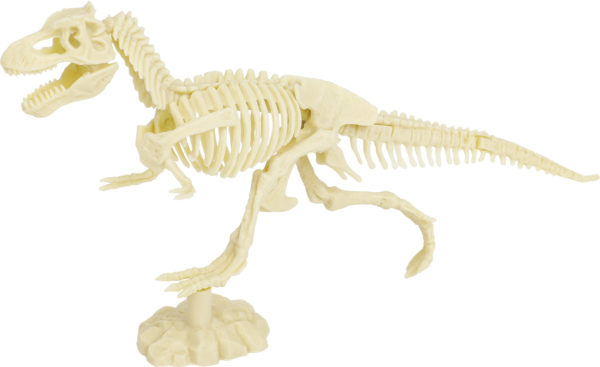 KIT PALEO: T. REX