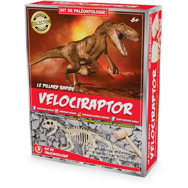 KIT PALEO: VELOCIRAPTOR