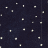 POSTAL ESTRELLA FUGAÇ
