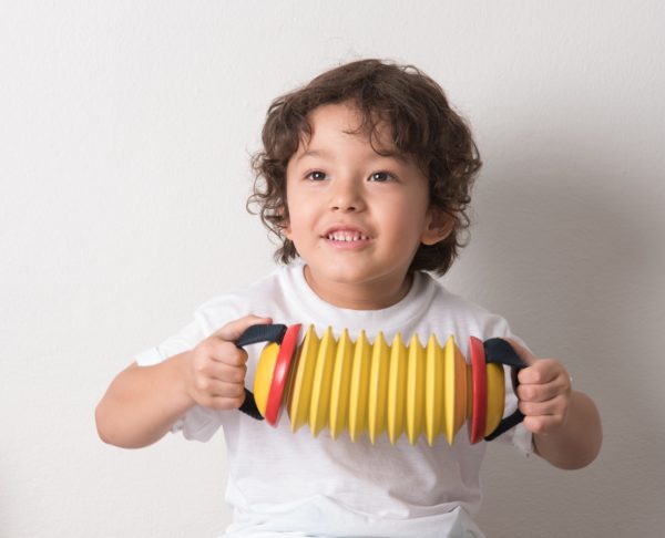 ACORDIÓ CONCERTINA