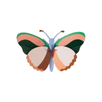 OBJECTE 3D