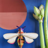 OBJECTE 3D: ABELLA