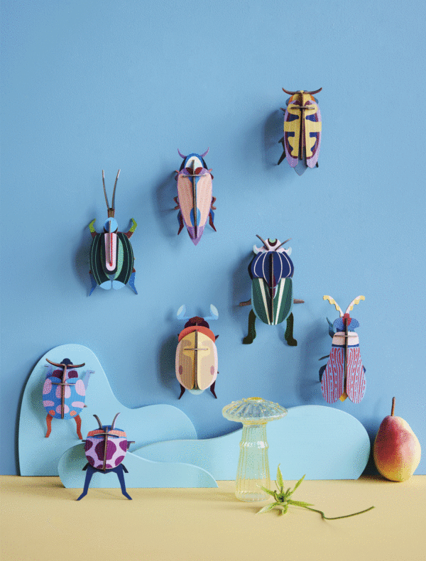 OBJECTE 3D: ESCARABAT FIGUERA