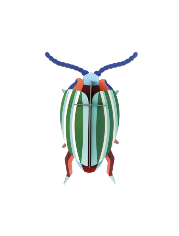 OBJECTE 3D: ESCARABAT-Rainbow Leaf