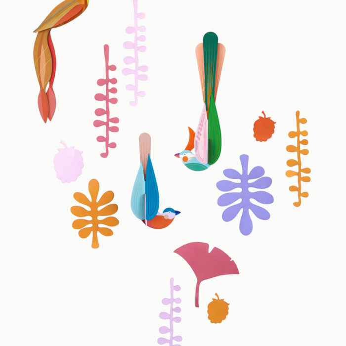 OBJECTE 3D: FLORA I FAUNA - OCELLS