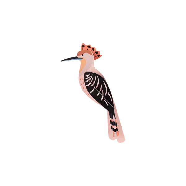 OBJECTE 3D: OCELL HOOPOE