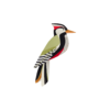 OBJECTE 3D: OCELL WOODPECKER