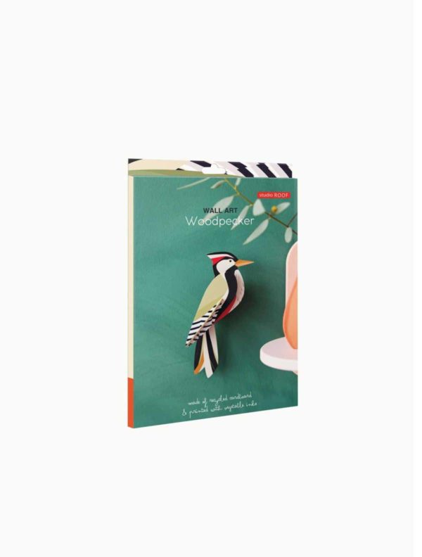 OBJECTE 3D: OCELL WOODPECKER
