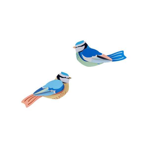 OBJECTE 3D: OCELLS BLUE TITS