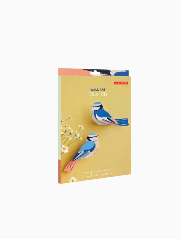 OBJECTE 3D: OCELLS BLUE TITS