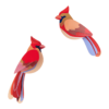 OBJECTE 3D: OCELLS CARDINALS