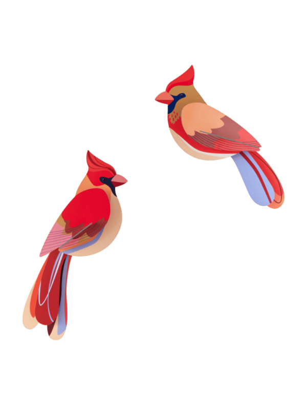 OBJECTE 3D: OCELLS CARDINALS