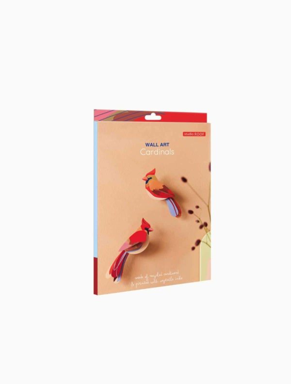 OBJECTE 3D: OCELLS CARDINALS