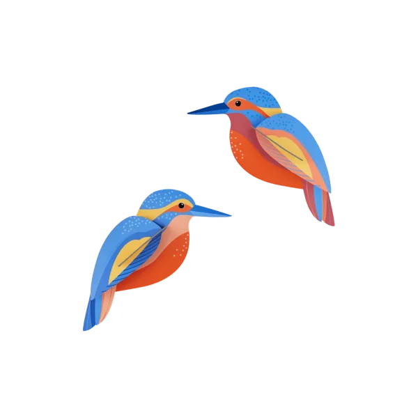 OBJECTE 3D: OCELLS KINGFISHERS