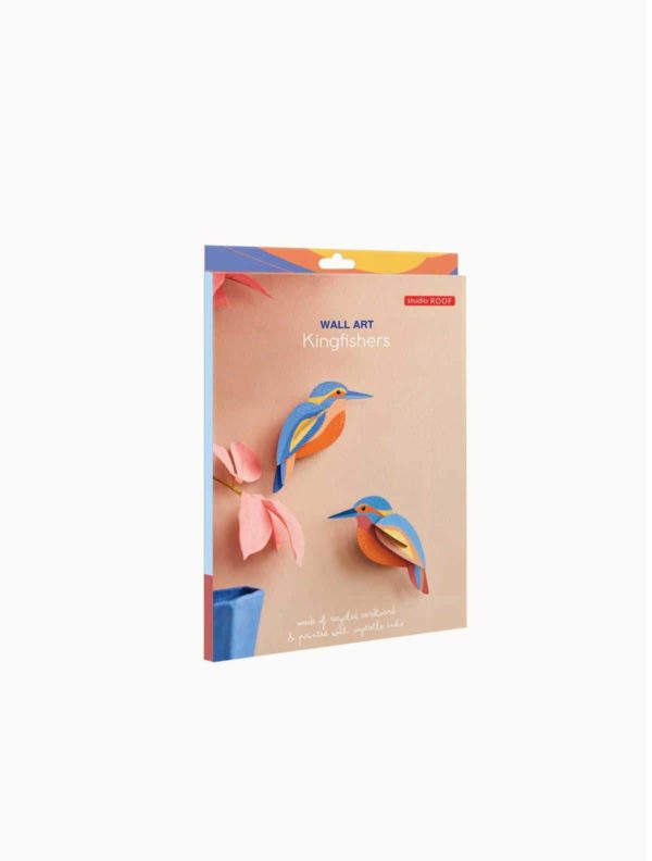 OBJECTE 3D: OCELLS KINGFISHERS