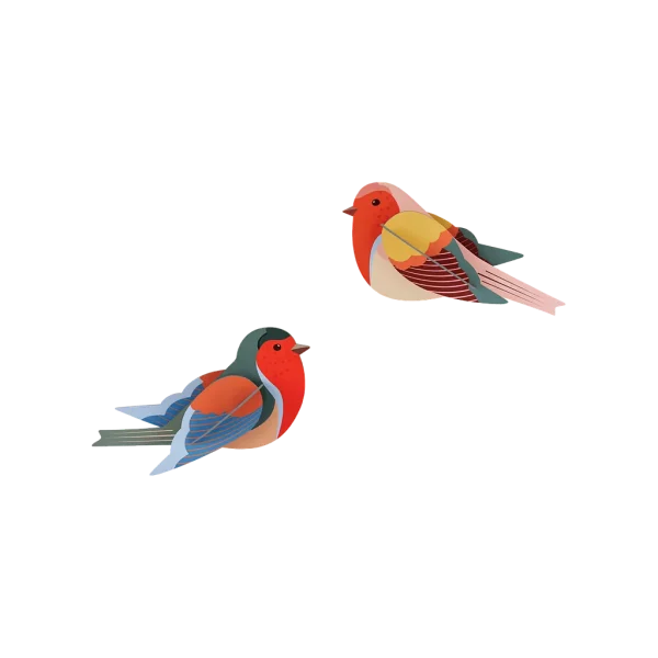 OBJECTE 3D: OCELLS ROBINS (2 PECES)