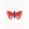 OBJECTE 3D: PAPALLONA