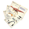IMANTS DINOSAURES