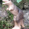 WUDIMALS: T-REX