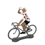 CICLISTA MILLOR ESCALADOR : BEVENT «ALBERT» -10