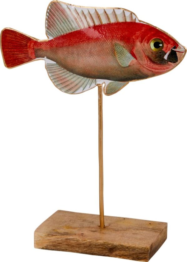PEIX OCEÀ