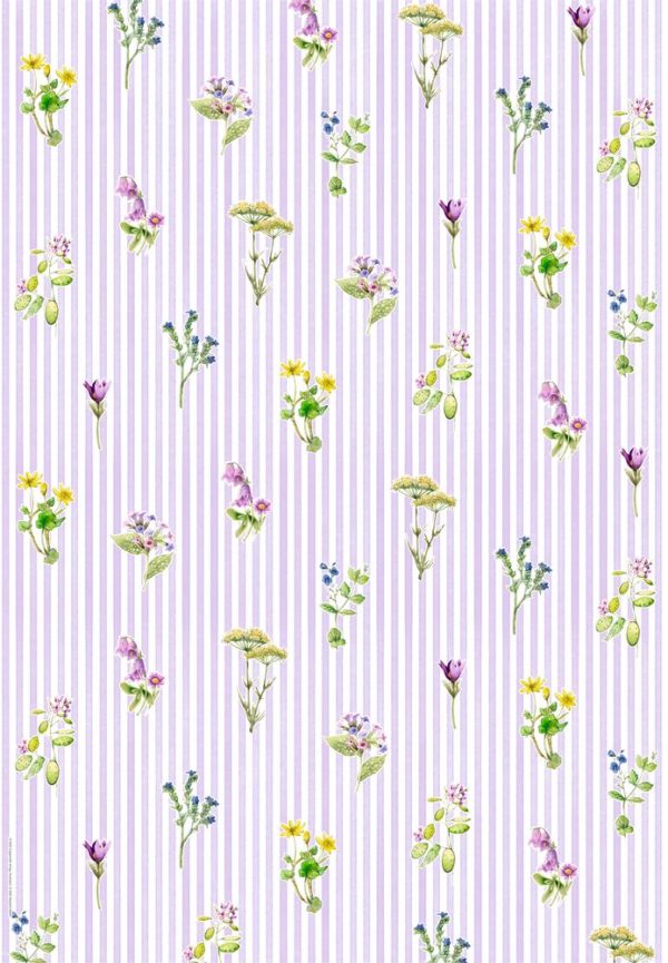 CARPETA AMB PAPERS SCRAP
