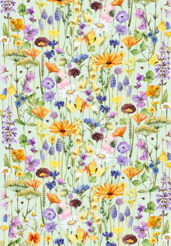 CARPETA AMB PAPERS SCRAP