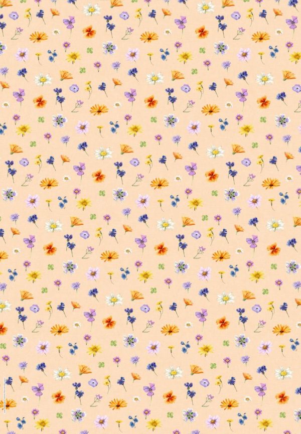 CARPETA AMB PAPERS SCRAP