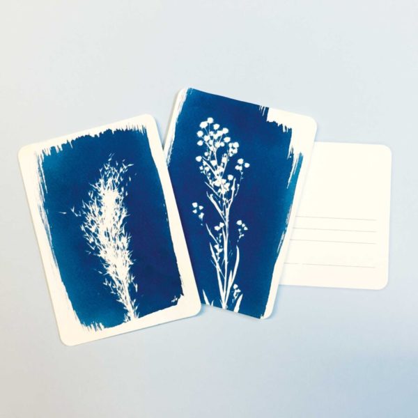 DIY CYANOTYPE KIT – POSTCARD (instr. també en castellà)