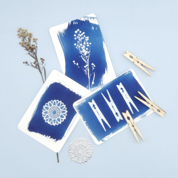 DIY CYANOTYPE KIT – POSTCARD (instr. també en castellà)