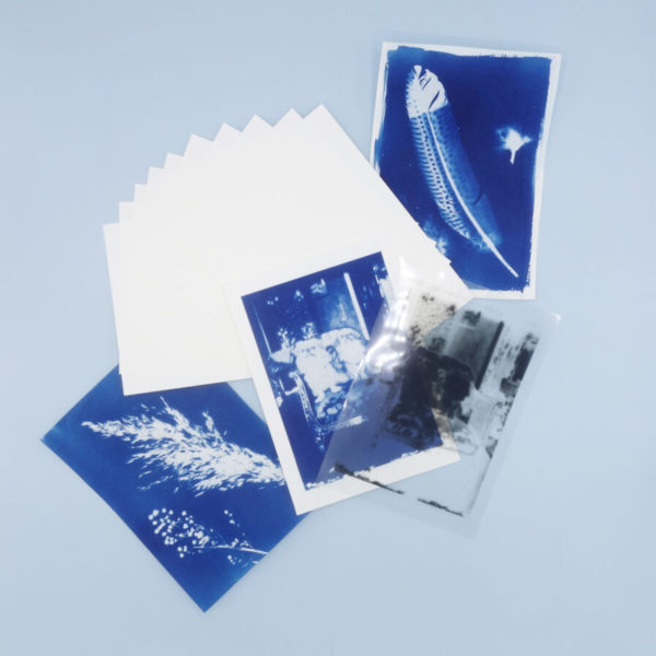 DIY CYANOTYPE & VAN DYKE KIT – Paper