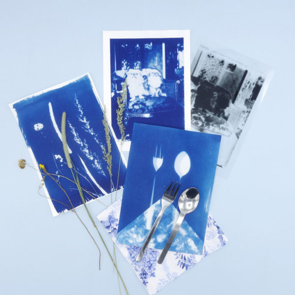 DIY CYANOTYPE & VAN DYKE KIT – Paper