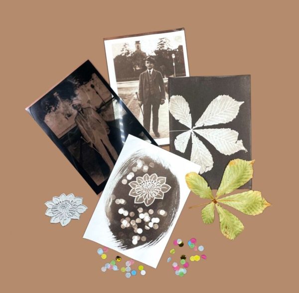 DIY CYANOTYPE & VAN DYKE KIT – Paper