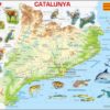 LARSEN: MAPA FÍSIC DE CATALUNYA (CATALÀ)