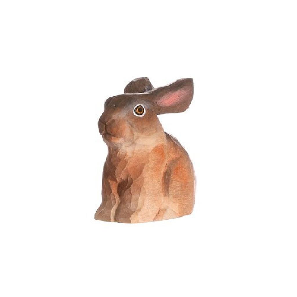 WUDIMALS: LLEBRE
